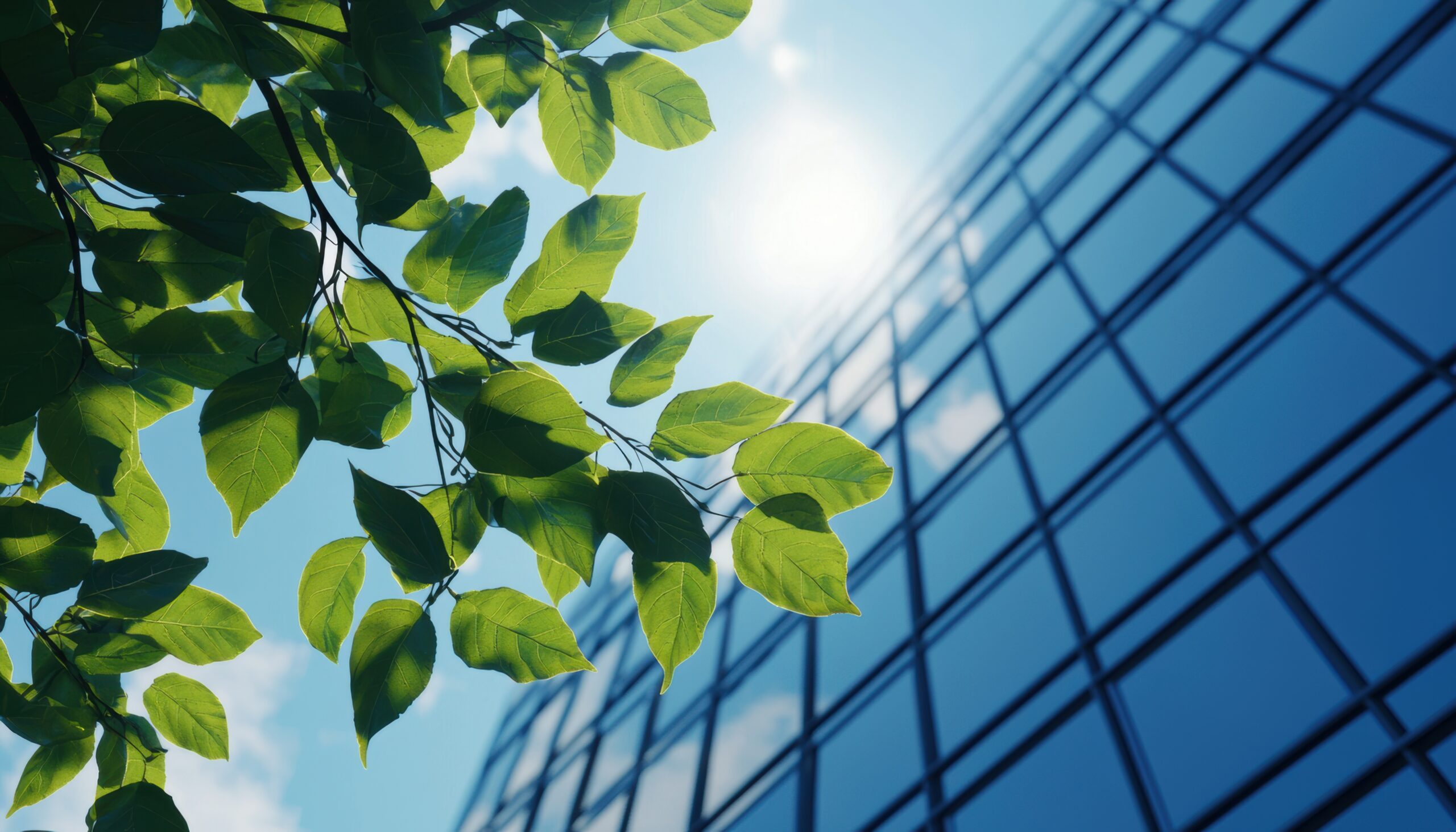 Groene bladeren voor het glaswerk van een gebouw